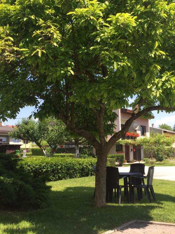 Apartman Studio Sonas 3 With Free Private Parking Karlovac Luaran gambar